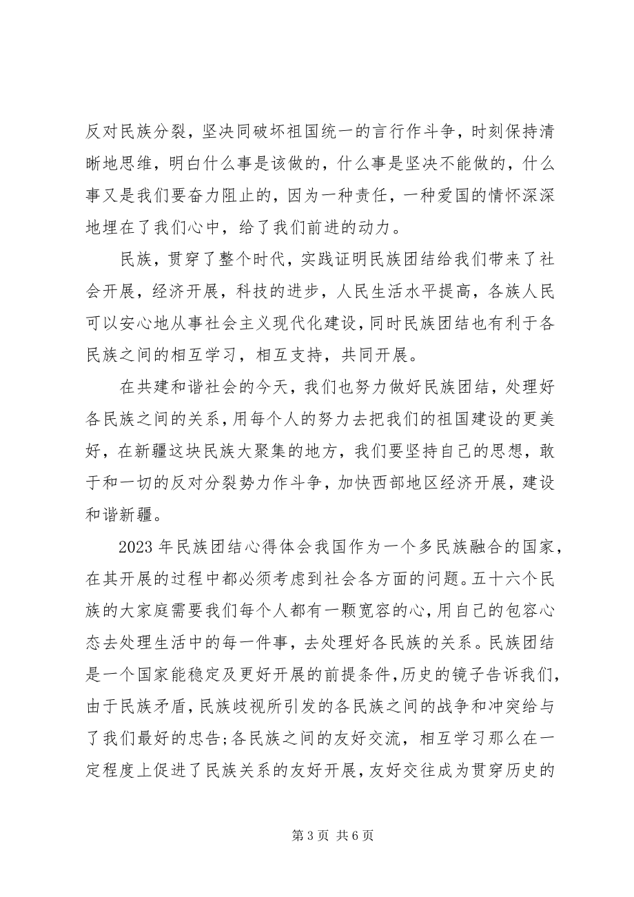 2023年民族团结心得体会范本.docx_第3页