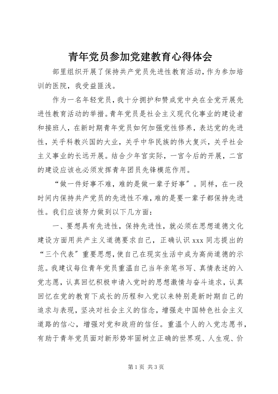 2023年青年党员参加党建教育心得体会.docx_第1页