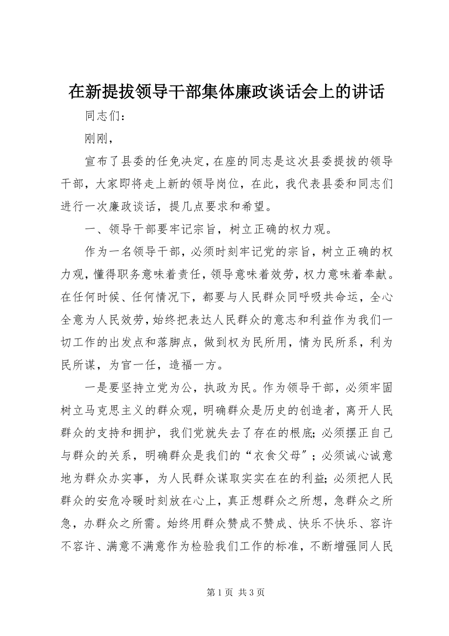 2023年在新提拔领导干部集体廉政谈话会上的致辞.docx_第1页