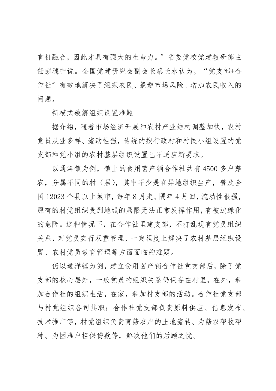 2023年党支部加合作交流.docx_第2页