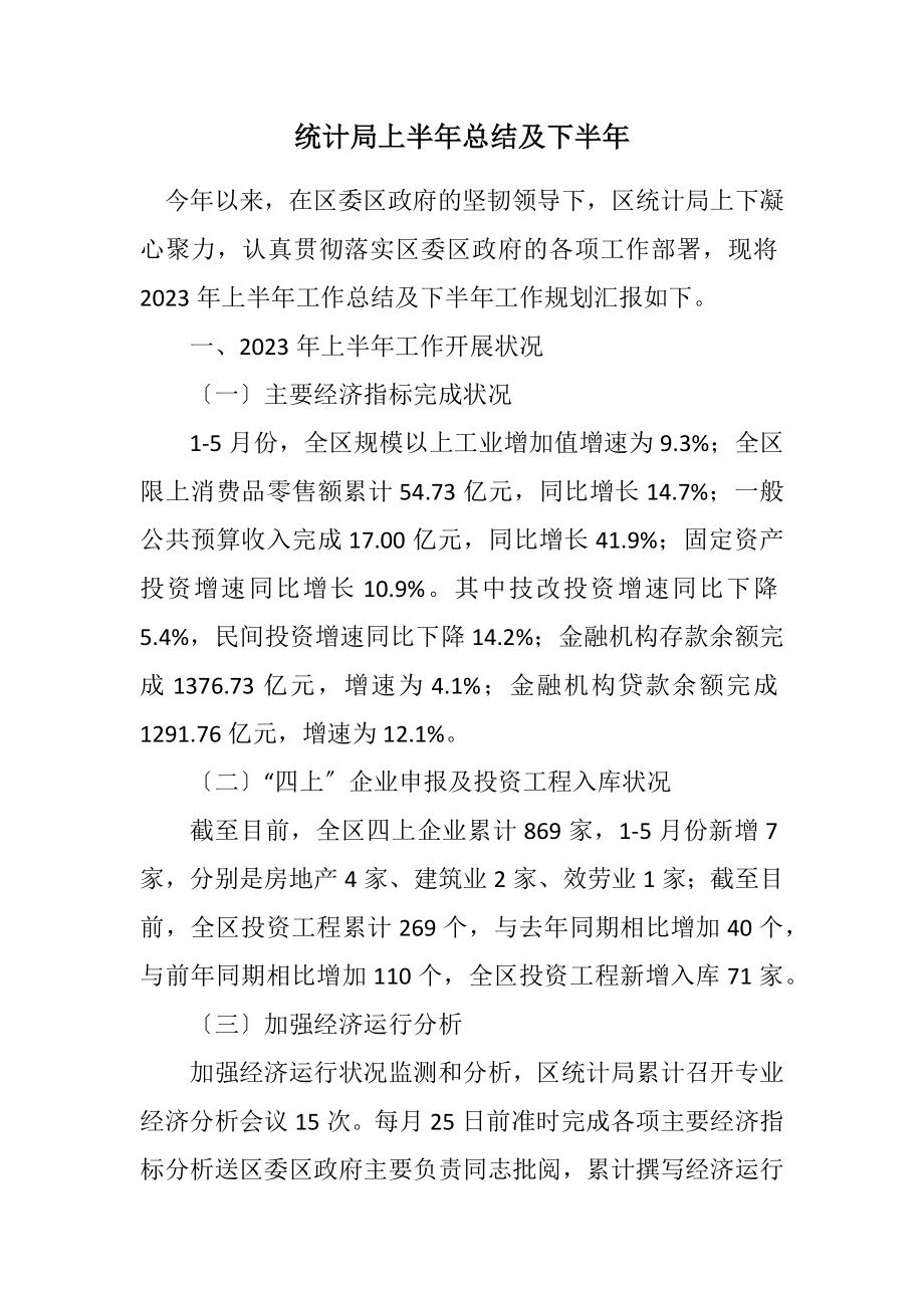 2023年统计局上半年总结及下半年计划.docx_第1页