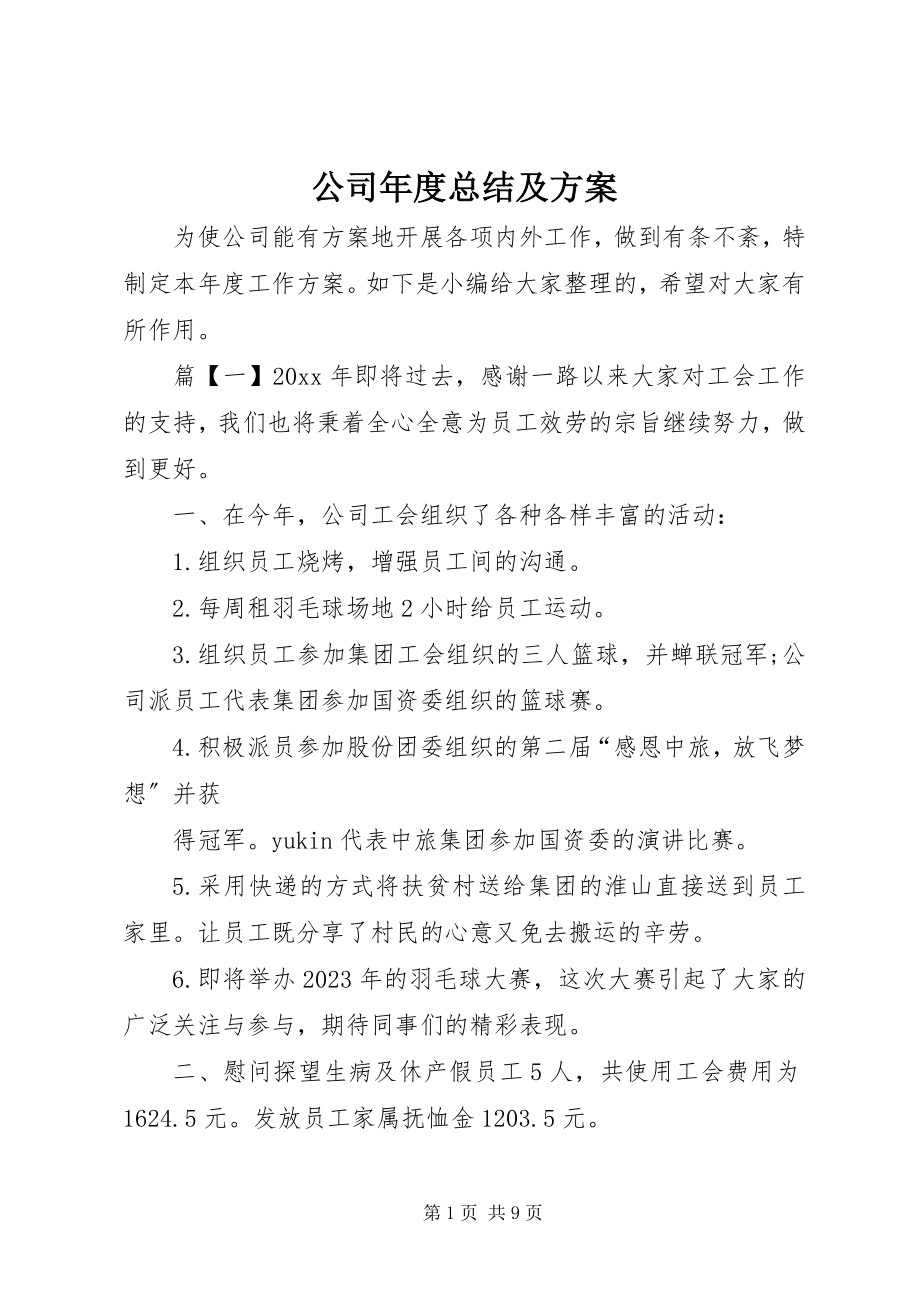 2023年公司年度总结及计划.docx_第1页