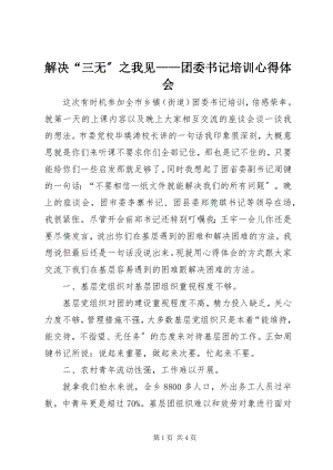 2023年解决“三无”之我见团委书记培训心得体会.docx