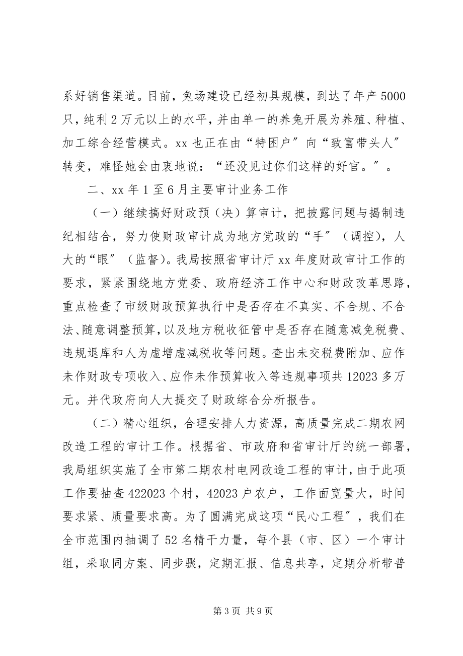 2023年市审计局上半年工作总结3.docx_第3页