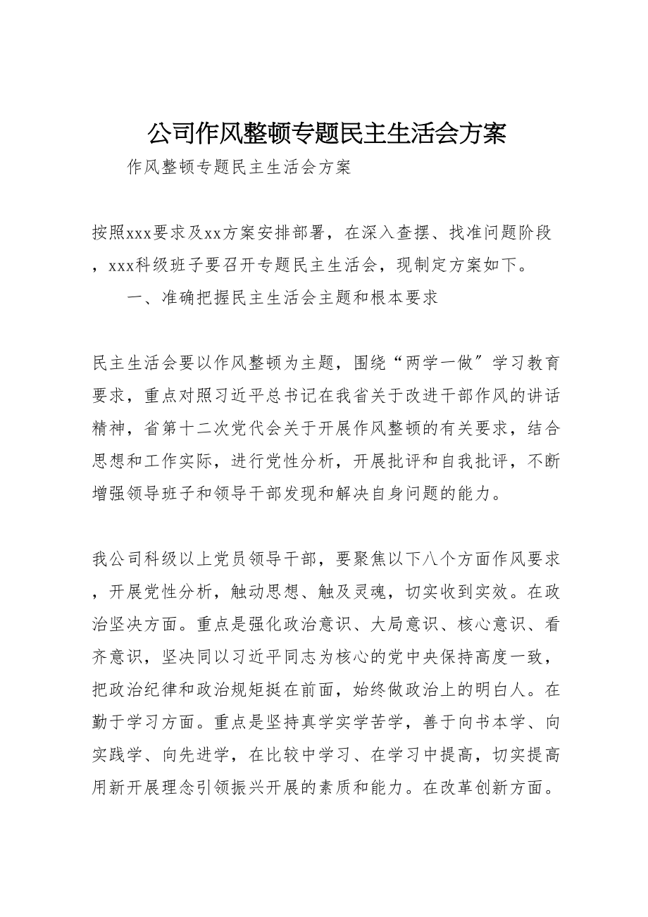 2023年公司作风整顿专题民主生活会方案.doc_第1页