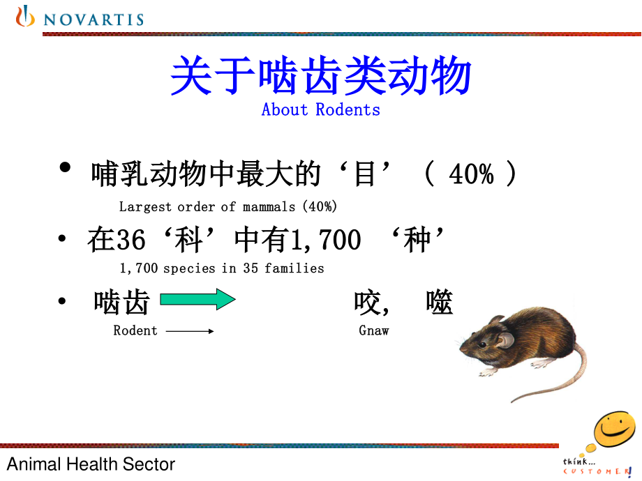 010老鼠控制方案.ppt_第2页