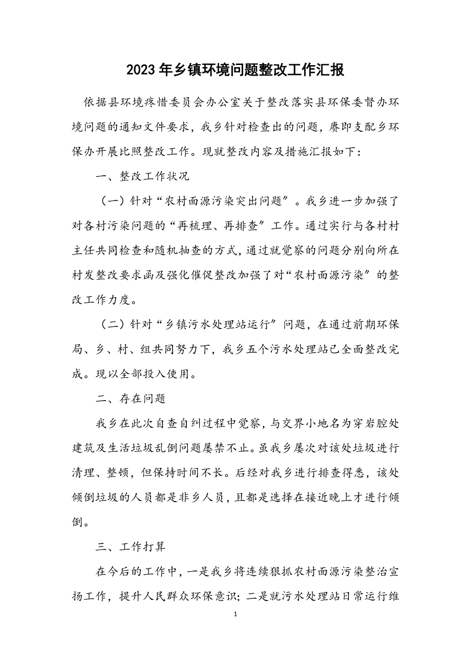 2023年乡镇环境问题整改工作汇报.docx_第1页