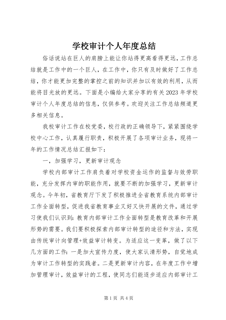 2023年学校审计个人年度总结.docx_第1页