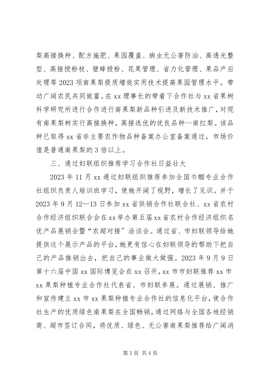 2023年科技致富女能手事迹材料.docx_第3页