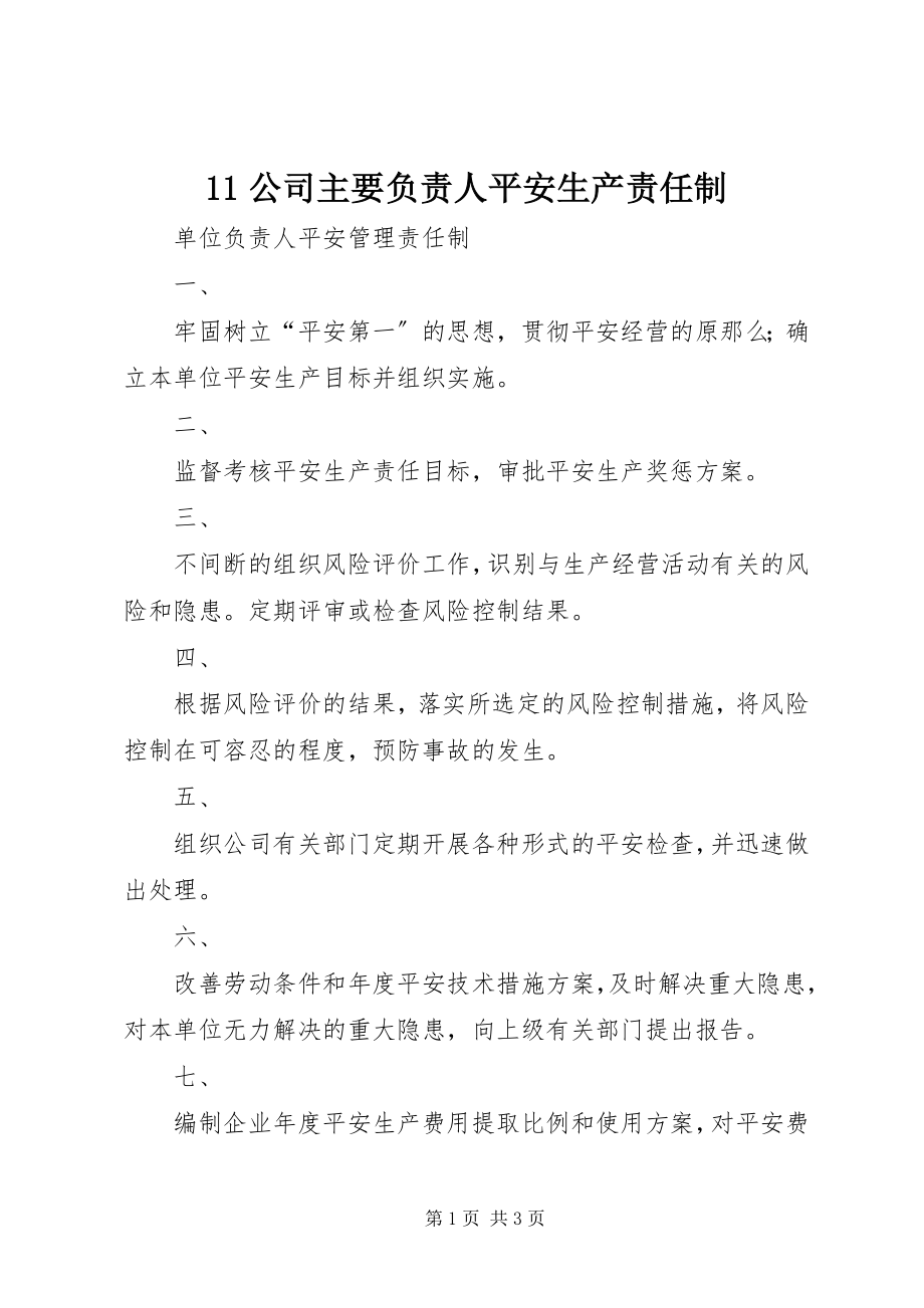 2023年公司主要负责人安全生产责任制新编.docx_第1页