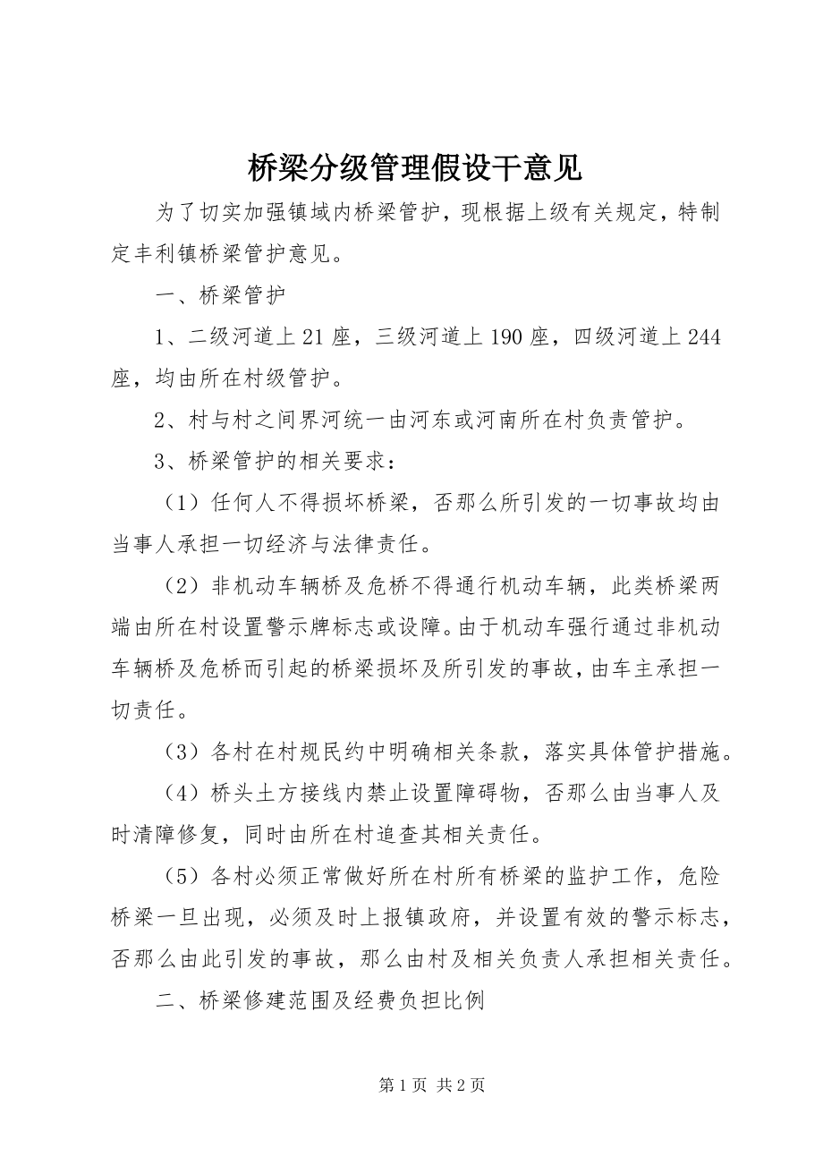 2023年桥梁分级管理若干意见.docx_第1页