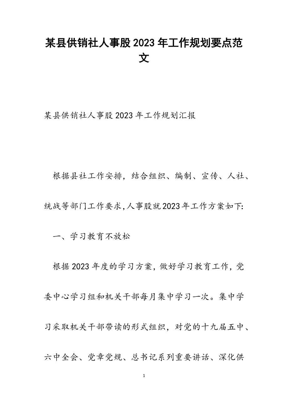 某县供销社人事股2023年工作规划要点.docx_第1页