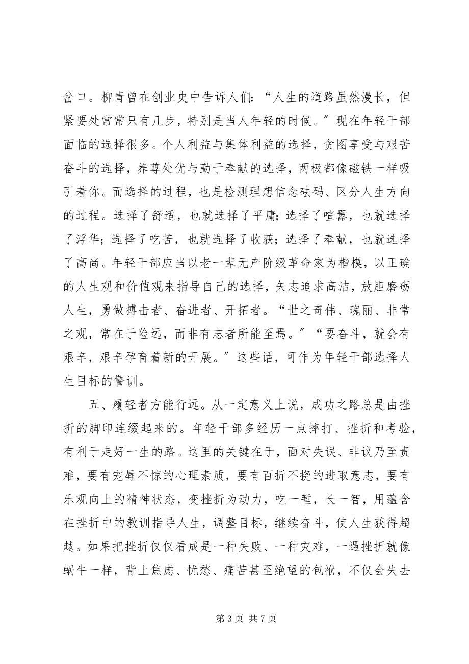 2023年轻干部成长的思考与建议.docx_第3页