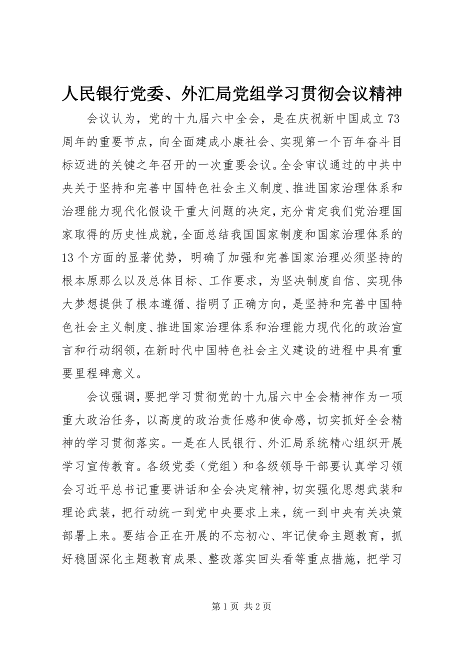 2023年人民银行党委外汇局党组学习贯彻会议精神.docx_第1页