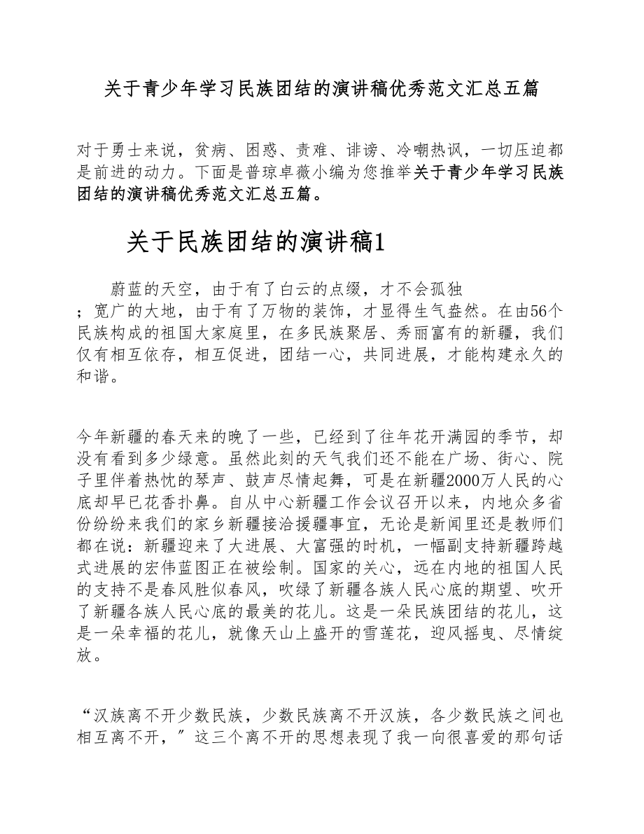 2023年青少年学习民族团结的演讲稿优秀汇总五篇.docx_第1页