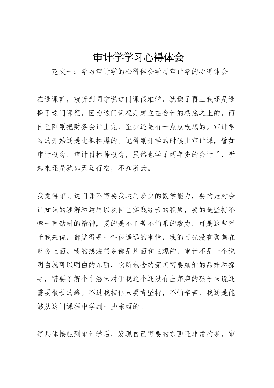 2023年审计学学习心得体会.doc_第1页