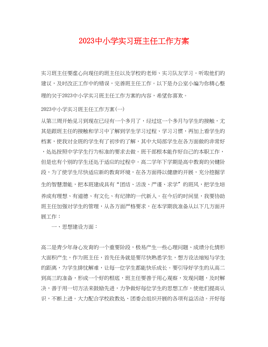 2023年20小学实习班主任工作计划.docx_第1页