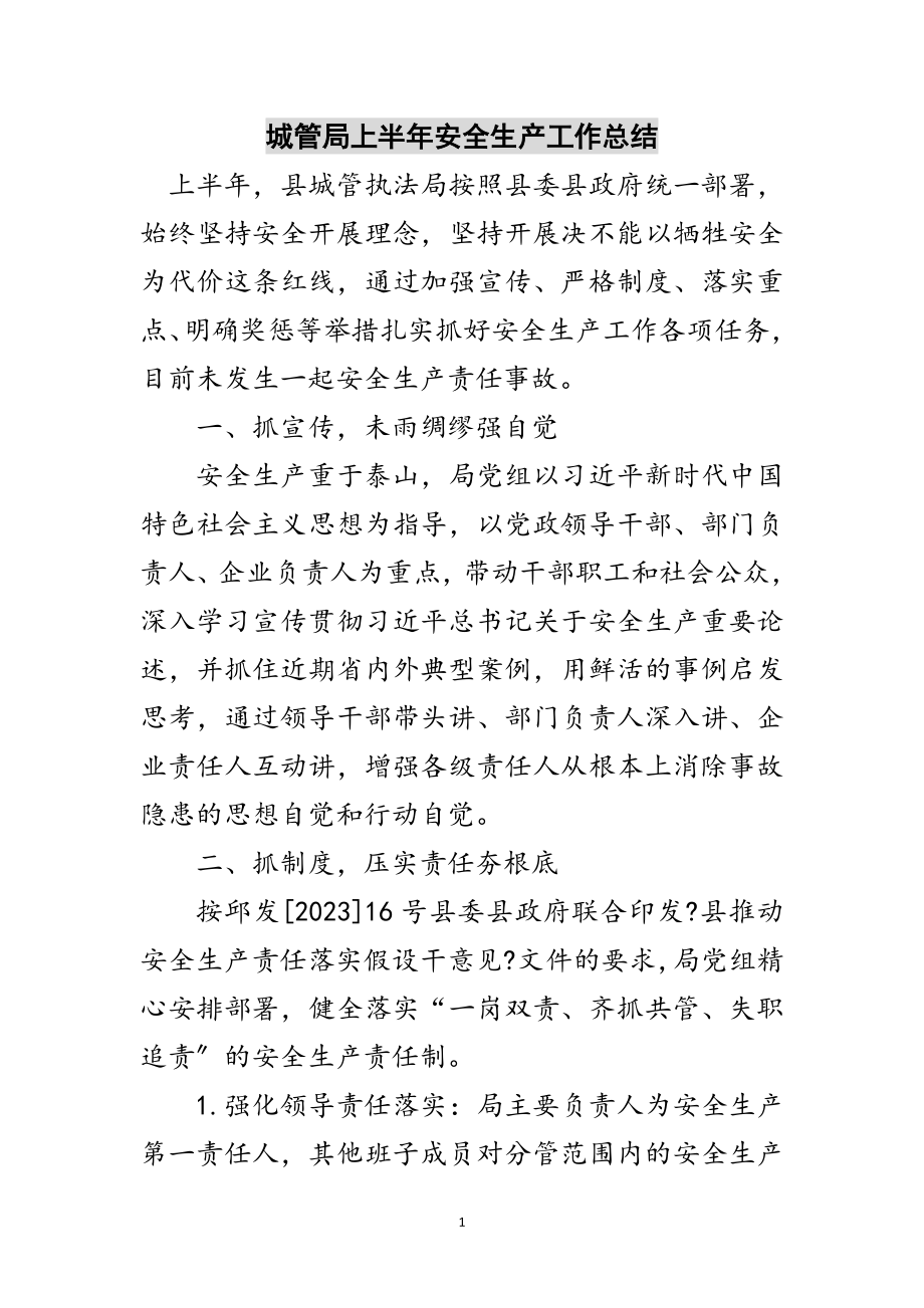 2023年城管局上半年安全生产工作总结范文.doc_第1页