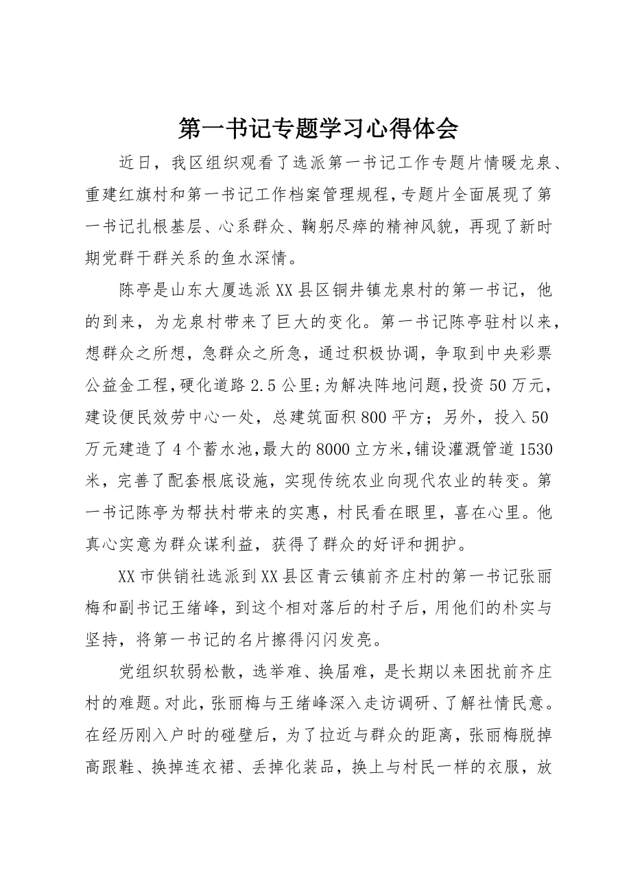 2023年第一书记专题学习心得体会新编.docx_第1页