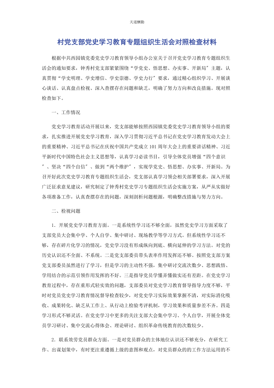 2023年村党支部党史学习教育专题组织生活会对照检查材料范文.docx_第1页