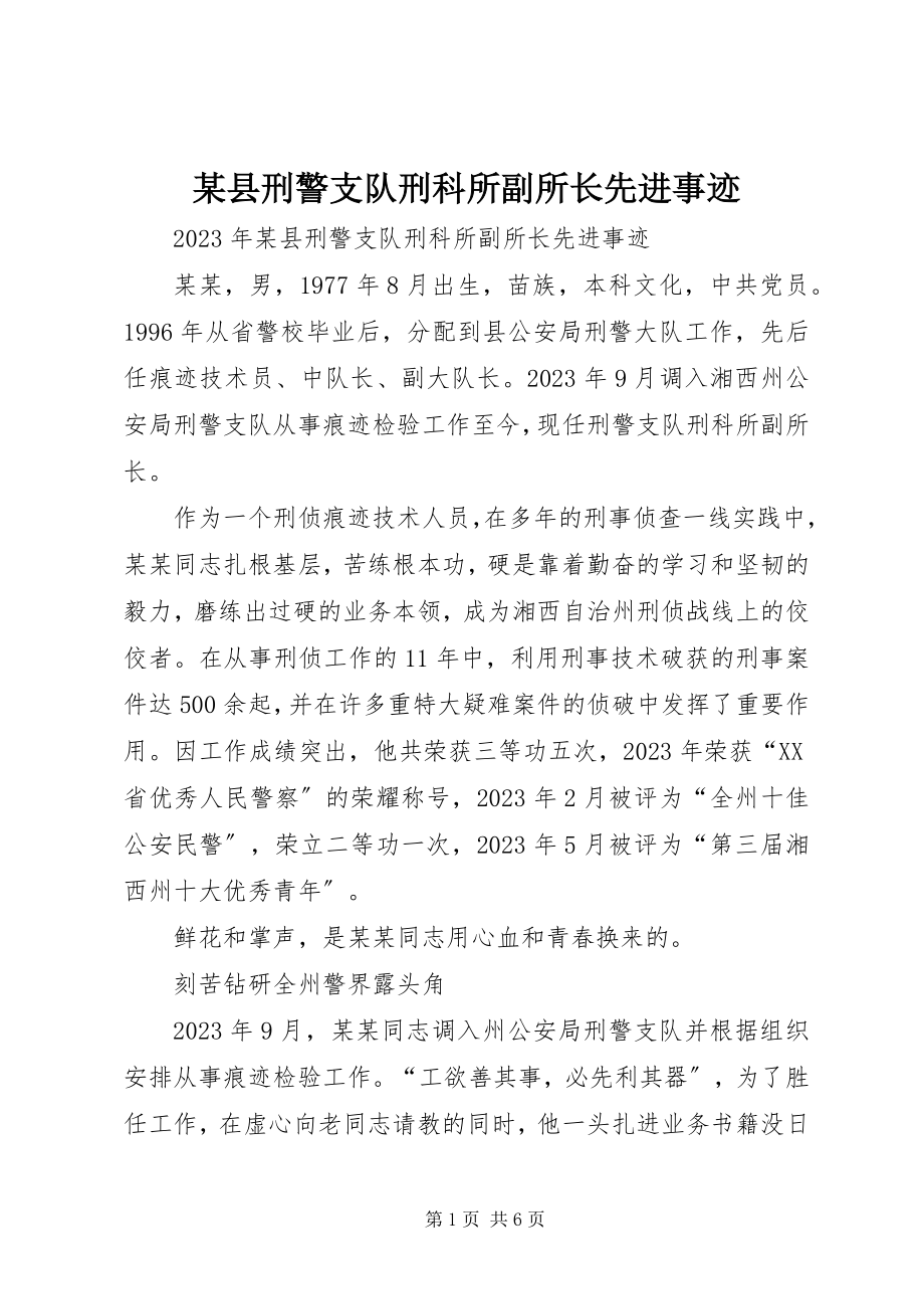 2023年xx县刑警支队刑科所副所长先进事迹.docx_第1页