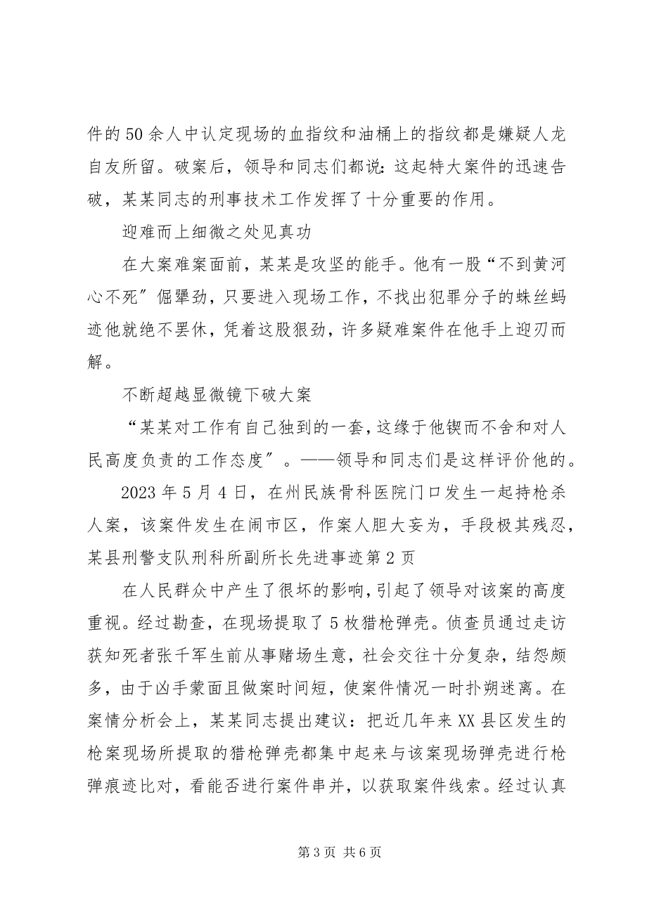 2023年xx县刑警支队刑科所副所长先进事迹.docx_第3页