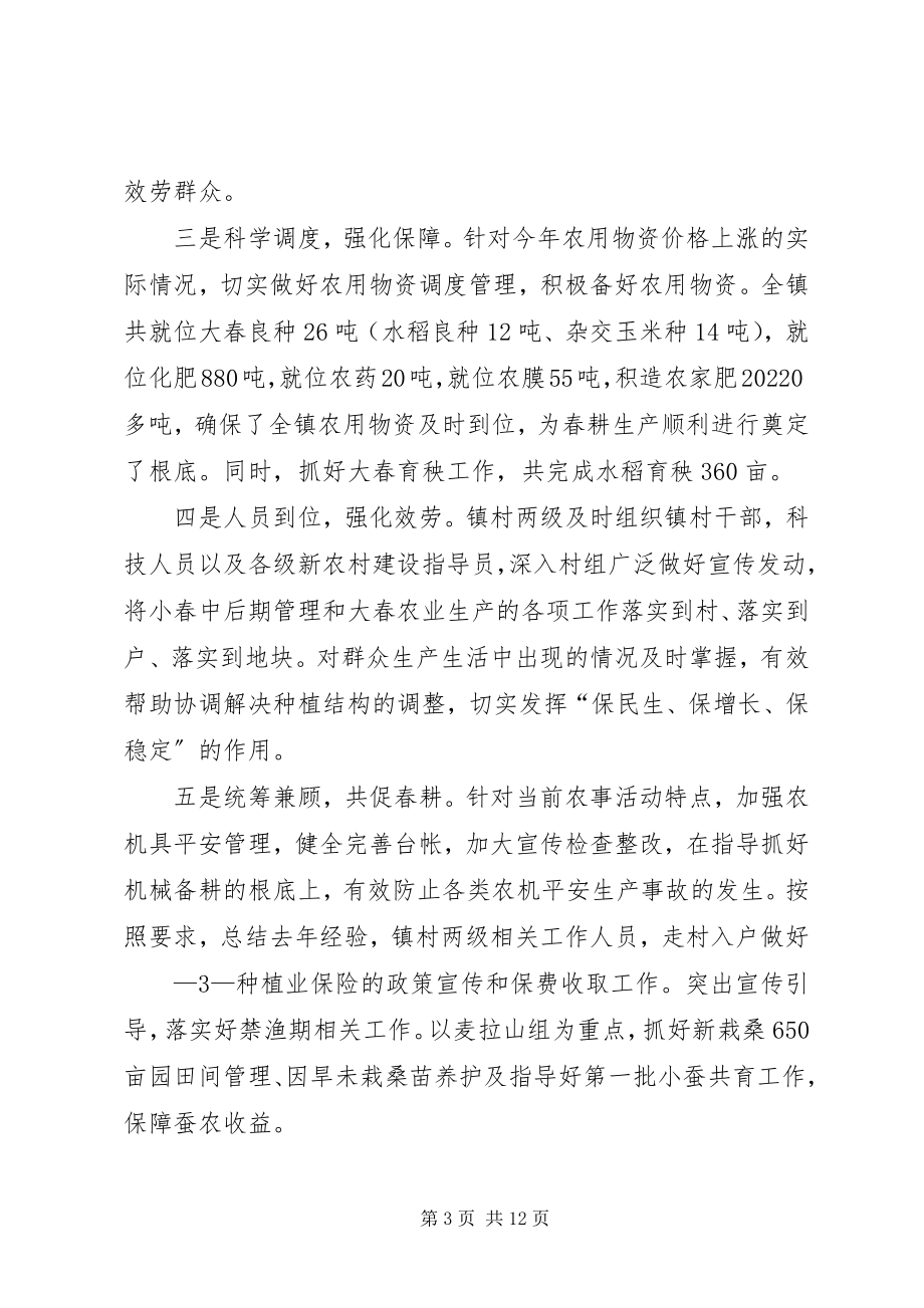 2023年永定镇春耕生产情况汇报.docx_第3页