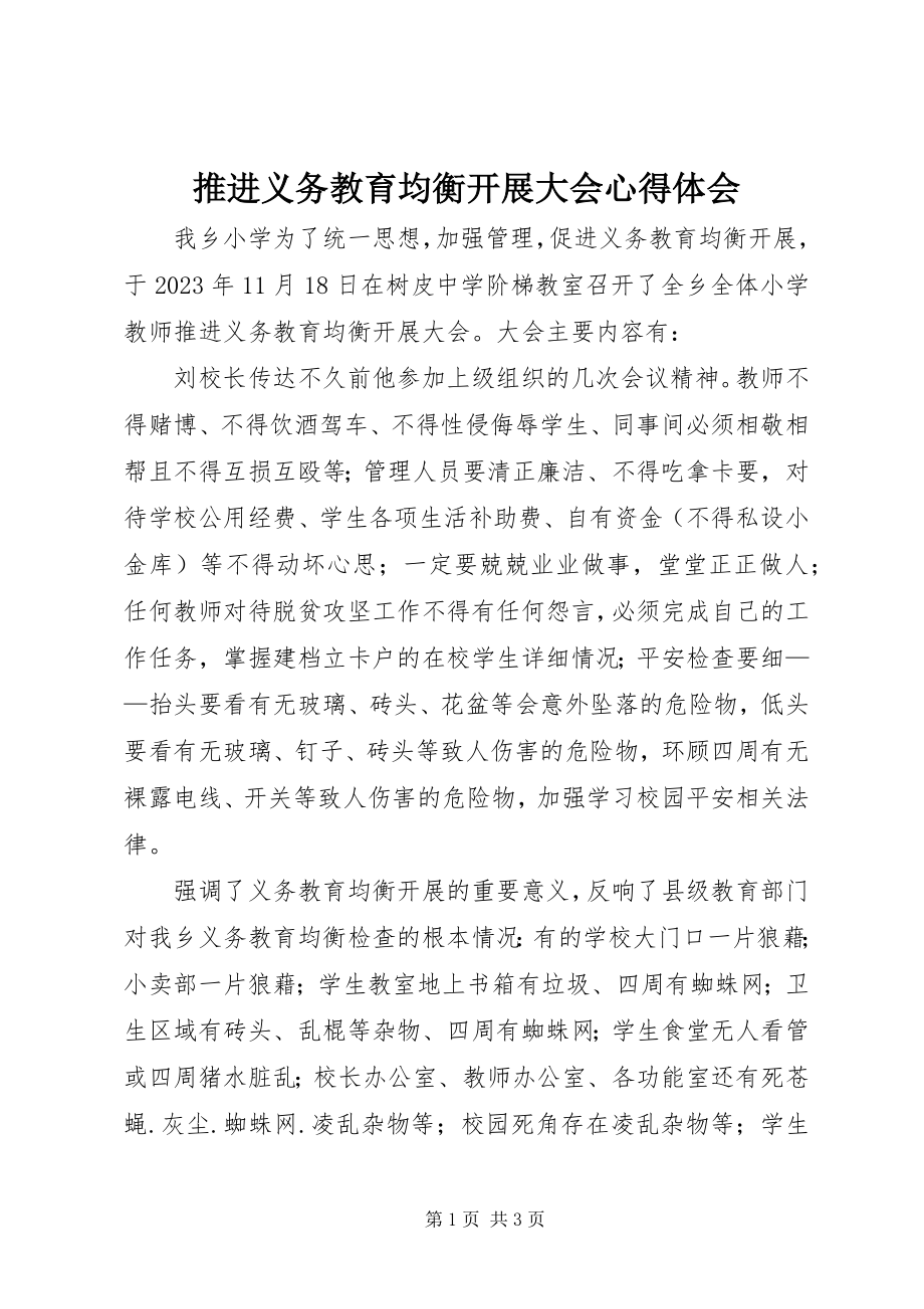 2023年推进义务教育均衡发展大会心得体会.docx_第1页