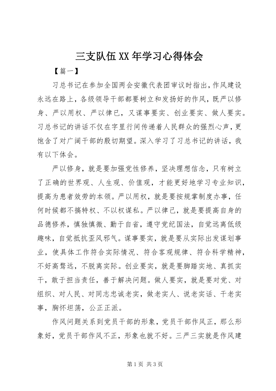 2023年三支队伍学习心得体会2.docx_第1页