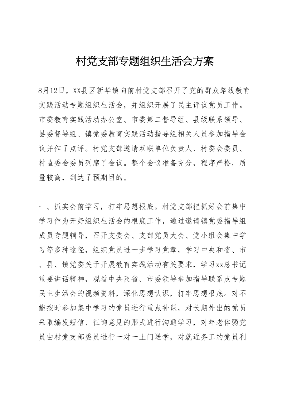 2023年村党支部专题组织生活会方案.doc_第1页