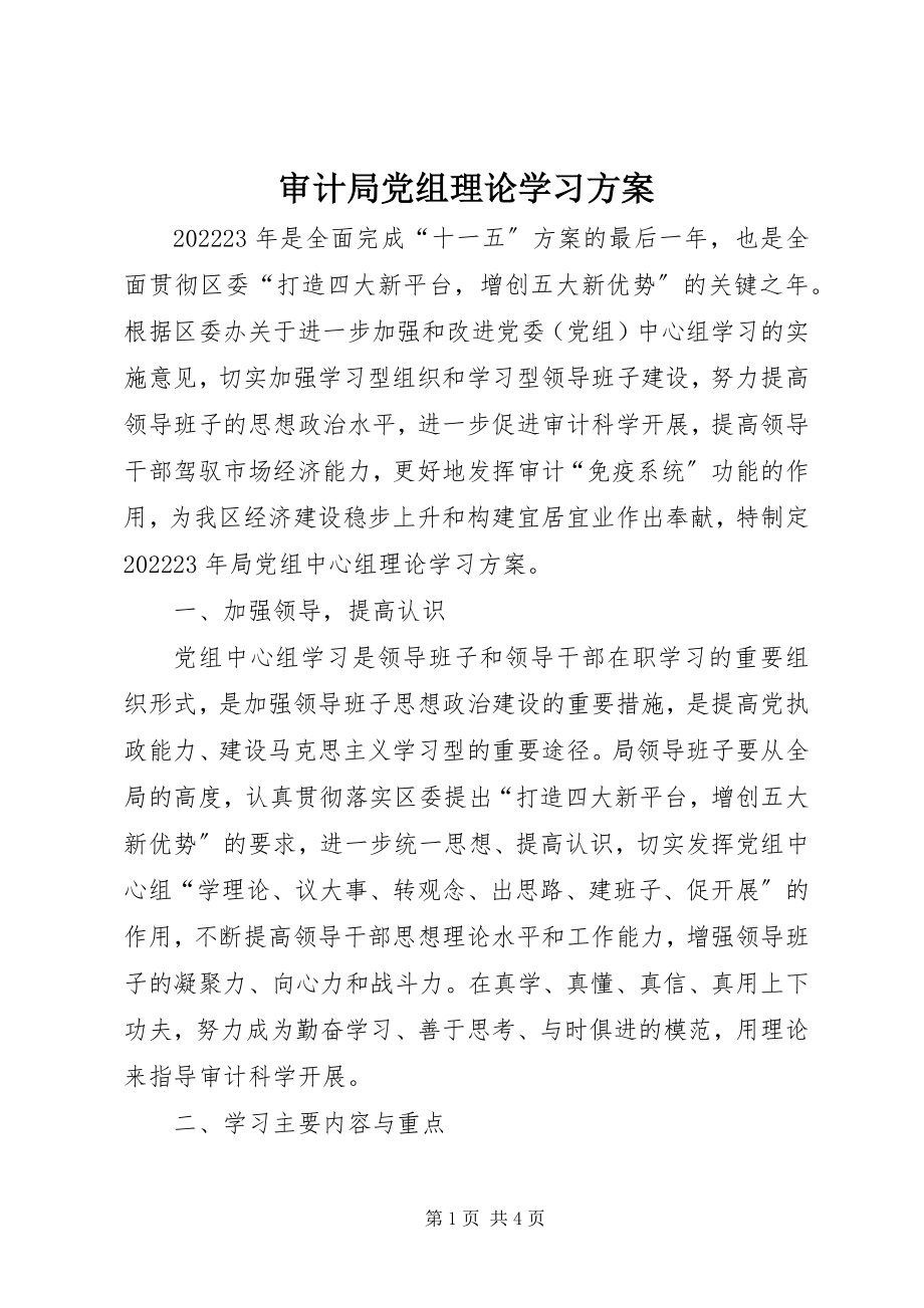 2023年审计局党组理论学习计划.docx_第1页