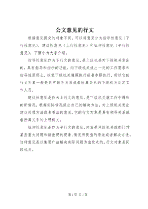 2023年公文意见的行文.docx