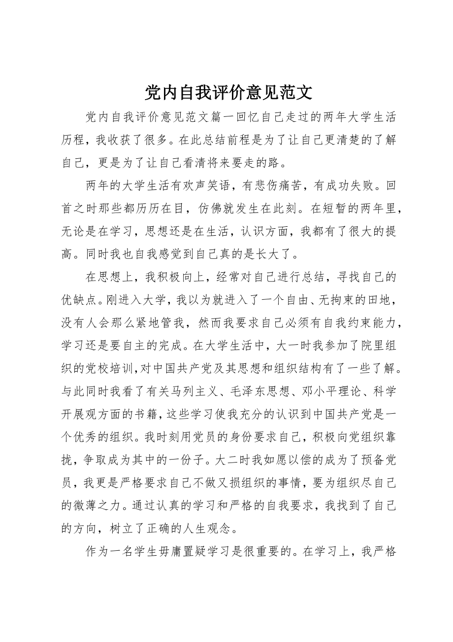 2023年党内自我评价意见2.docx_第1页