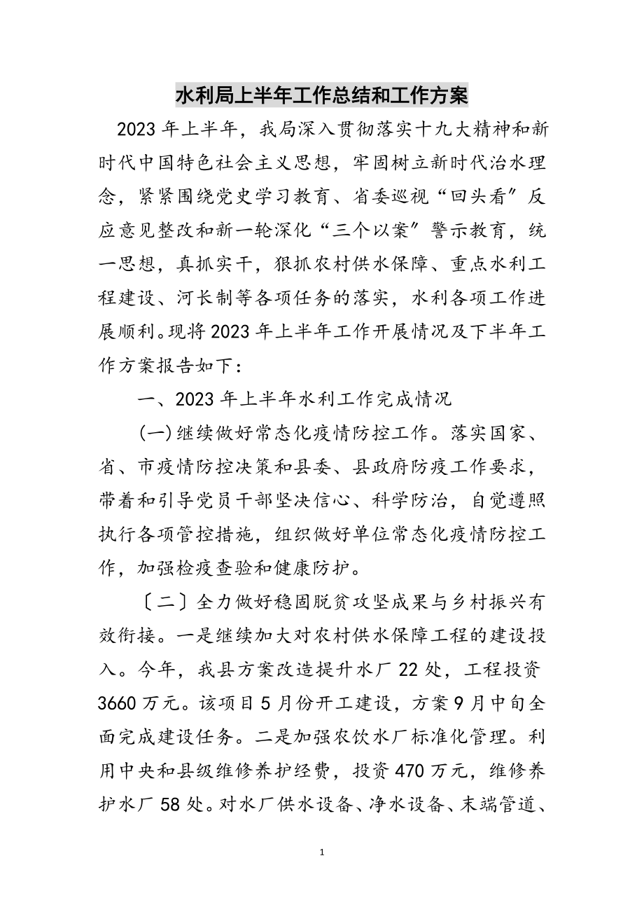 2023年水利局上半年工作总结和工作计划范文.doc_第1页