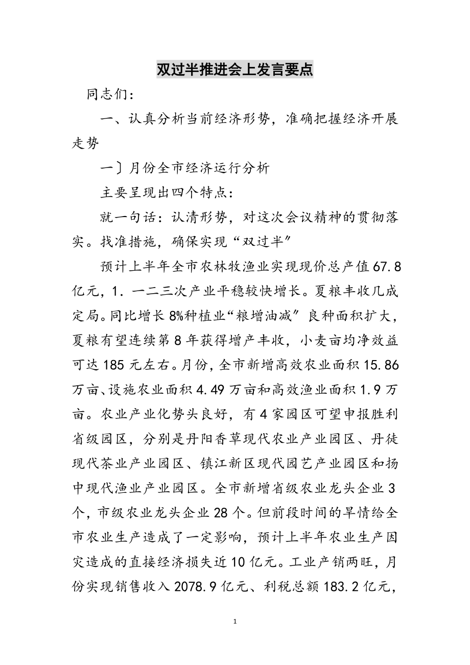 2023年双过半推进会上发言要点范文.doc_第1页