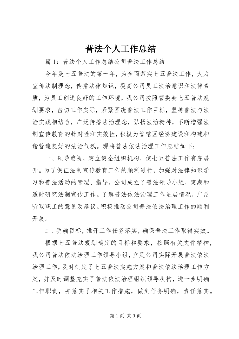 2023年普法个人工作总结.docx_第1页