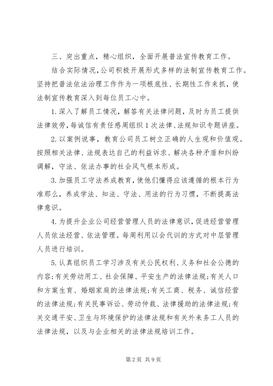 2023年普法个人工作总结.docx_第2页