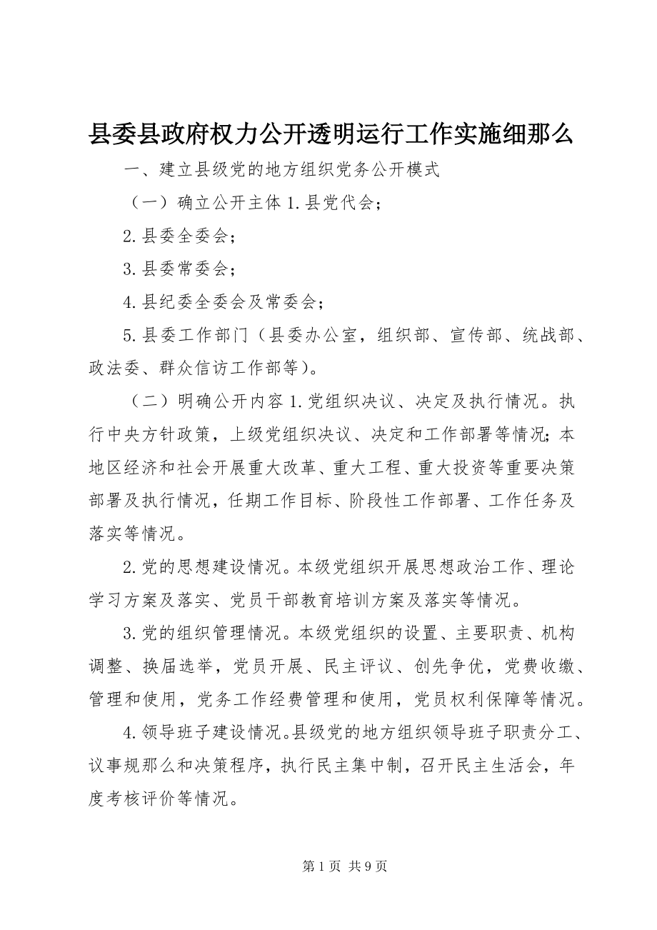 2023年县委县政府权力公开透明运行工作实施细则.docx_第1页