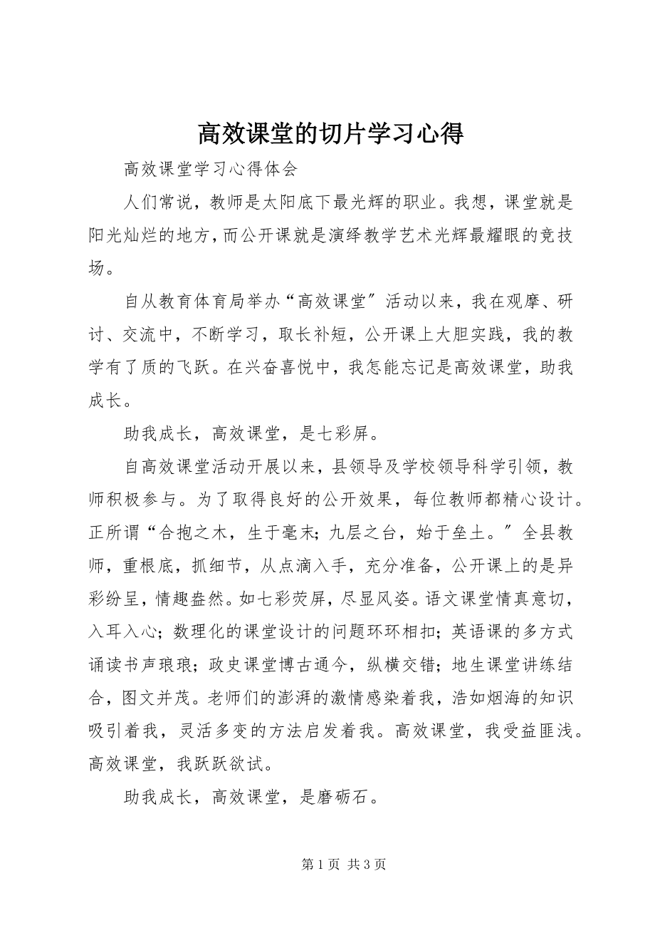 2023年《高效课堂的切片》学习心得新编.docx_第1页