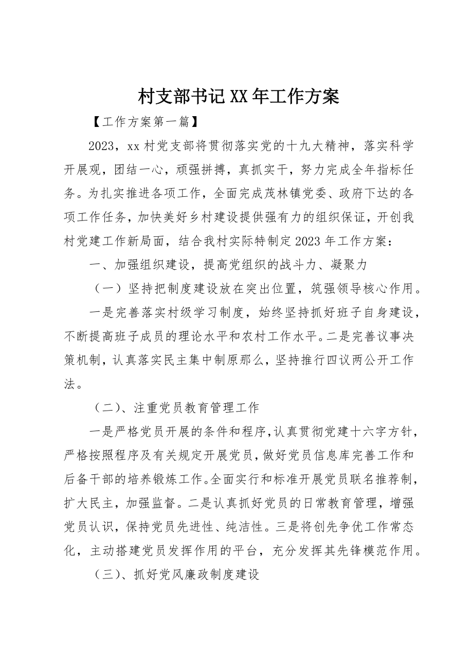 2023年村支部书记某年工作计划新编.docx_第1页