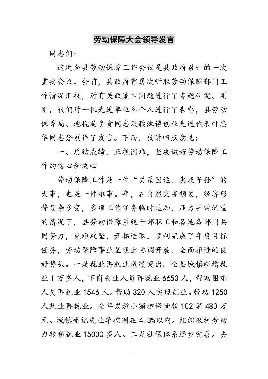 2023年劳动保障大会领导发言范文.doc_第1页