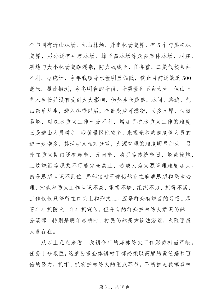 2023年全镇森林防火工作会议上的致辞.docx_第3页