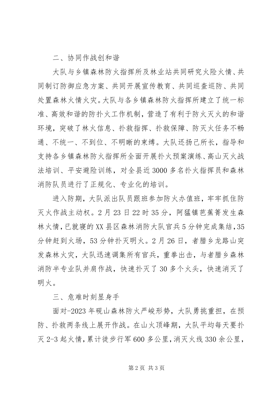 2023年林业抗旱先进事迹材料.docx_第2页