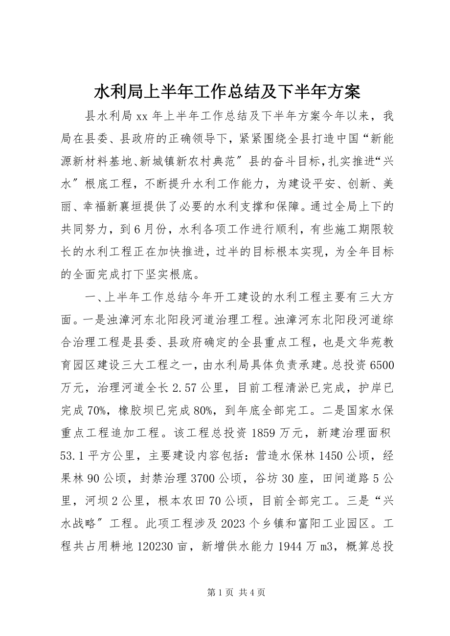 2023年水利局上半年工作总结及下半年计划.docx_第1页