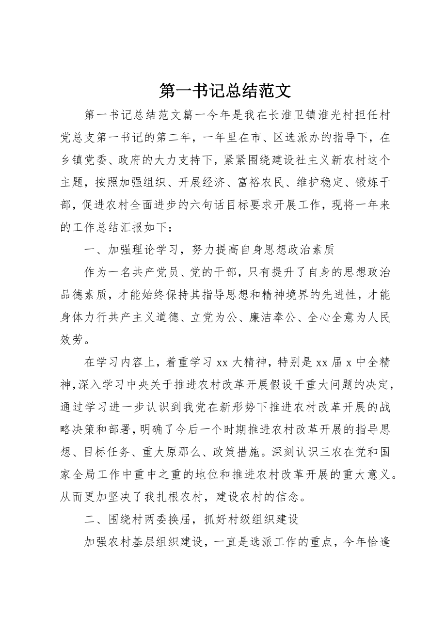 2023年第一书记总结新编.docx_第1页