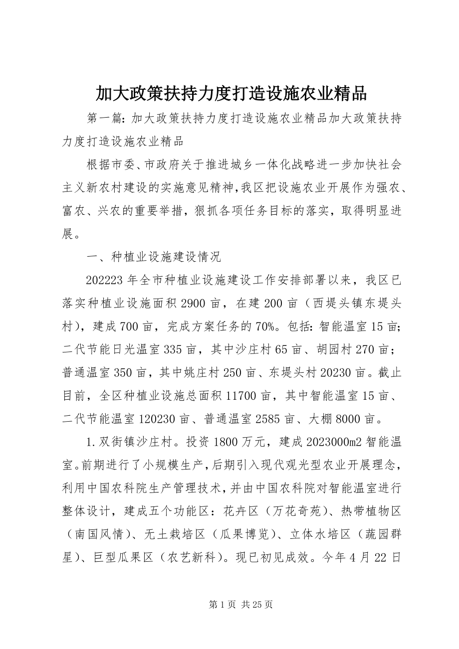 2023年加大政策扶持力度打造设施农业精品.docx_第1页