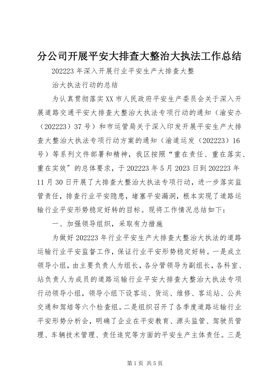 2023年分公司开展安全大排查大整治大执法工作总结.docx_第1页