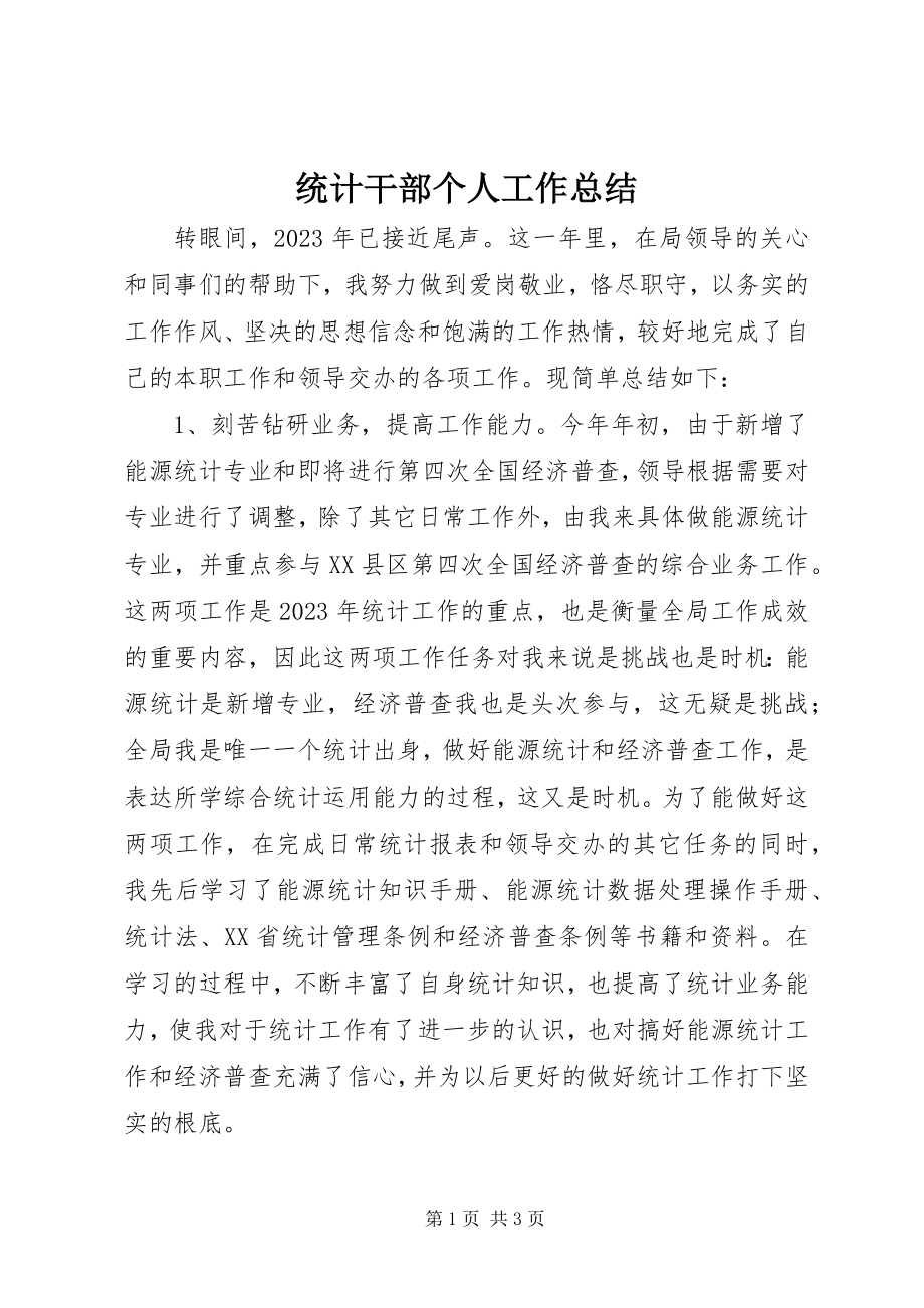 2023年统计干部个人工作总结.docx_第1页