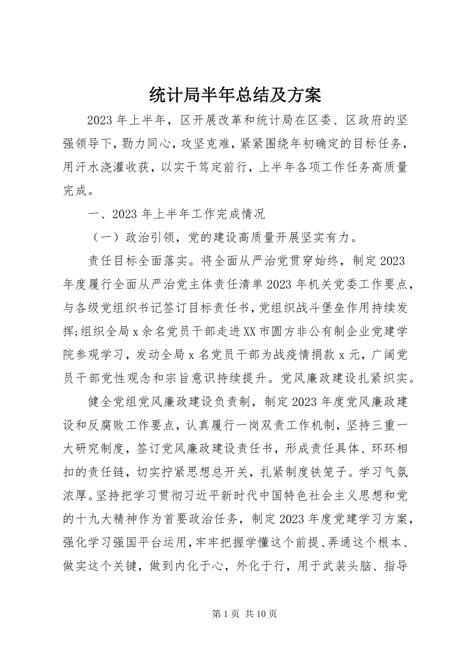 2023年统计局半年总结及计划.docx_第1页