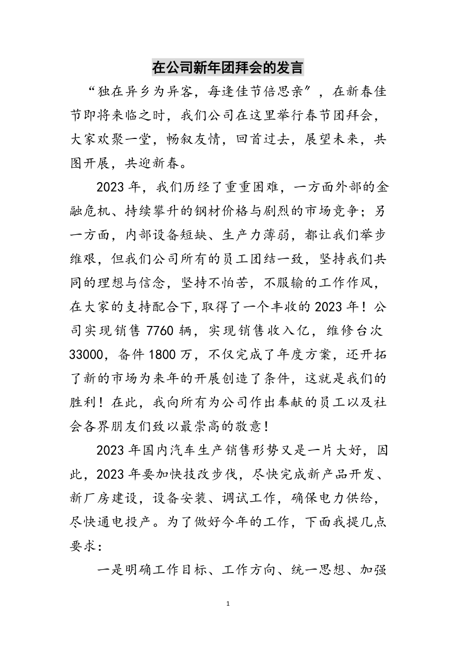 2023年在公司新年团拜会的发言范文.doc_第1页